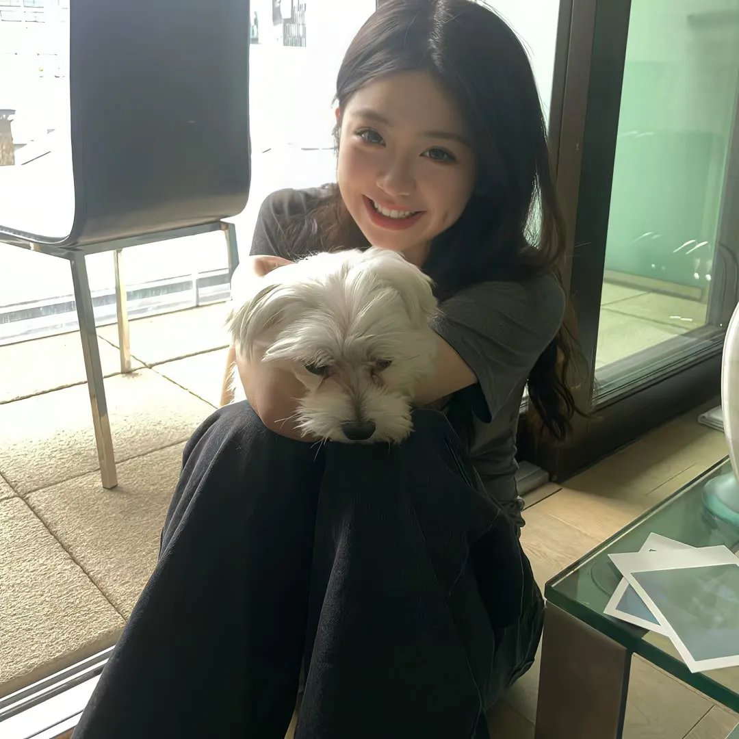 毁婚二十一条