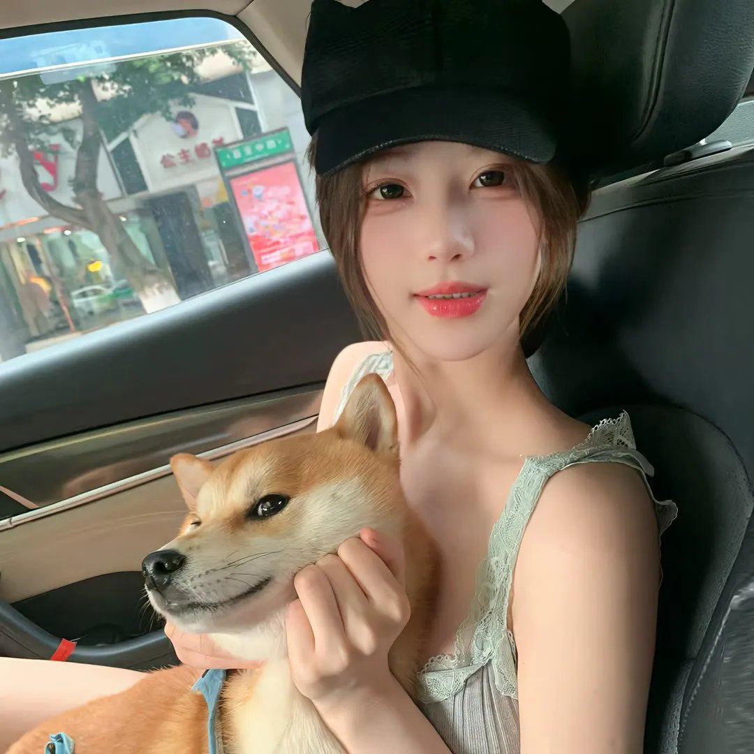极道之妻2